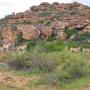 Horské chaty - Clanwilliam, Traveller's Rest
