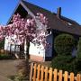 Apartmány - Wolfsburg, Apartment Am Haselborn
