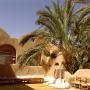 Лоджи - Сива, Shali Lodge Siwa