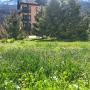 Ferienwohnungen - Krasnaya Polyana, Provence Style Apartment