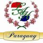 Economy-Hotels - Curupayty, Lion Hotel Itaipu