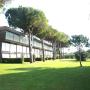 Apartments - Marina di Bibbona, Appartamenti Marina del Forte