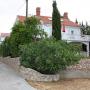 Appartamenti - Rab (Arbe), Apartments with a parking space Barbat, Rab - 4962