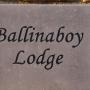 Bed and Breakfasts - Carrick on Shannon, Ballinaboy Lodge Bed and Breakfast