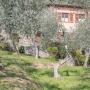 Дома для отпуска - Телларо, Villa Tular 981