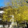 Apartmány - Brixen, Huberhof