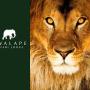 Chaty - Kasane, Kwalape Safari Lodge