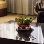 Apartmány - Zlatibor, Spa President Apartman