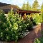 Apartments - Satow, Cozy Apartment in Satow Kuhlungsborn & Doberan with garden