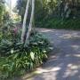 Penziony - Pinetown, Guest Place