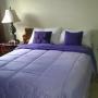 Alloggi in famiglia - Spanish Town, Spanish Town gated secured private rooms