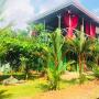 Гостевые дома - Кепос, Guest House Pura Vida