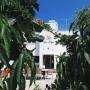 Hostels - Kyrenia, Sun Rays Hostel