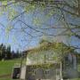 Гостевые дома - Нова-Варош, Guesthouse Borovi