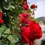 Country houses - L'Estartit, Turisme Rural Mas Ramades