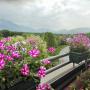 Apartmanok - Pratola Peligna, Attico D'Andrea