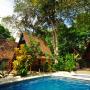 Hotel - Montezuma, Howler Monkey Hotel