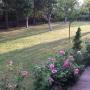 Ferienhäuser - Vogošća, Vacation home Kremeš