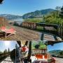 Guest houses - Sankt Gilgen, Seegasthof Gamsjaga