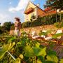 Apartmány - Kaindorf, Winzerhaus Friedrich