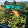 Гостевые дома - Цандрыпш, Comfort Guest House