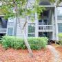 Holiday homes - Seabrook Island, 13105 Pelican Watch Villa
