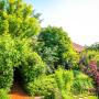 Pensionen - Muşeteşti, La Toscana Rustica