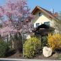 Apartmány - Essing, Ferienwohnung Faber