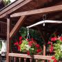 Apartmány - Tiszafüred, Osho Vendégház