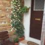 Апартаменты - Сплит, Studio apartman Patak in the center of Split