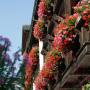 Hotely - Prien am Chiemsee, Hotel Neuer am See