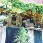 Guest houses - Batumi, Private Room Near the Park