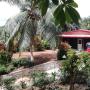 Hotels - Matugama, Hotel hill topz