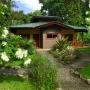 Apartmány - Cahuita, Oasi
