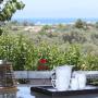 Apartmány - Lefkada, Pine House II