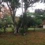 Agriturismi - Spanish Lookout, Mango Grove