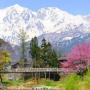 Виллы - Хакуба, Balls Deep Inn Villas