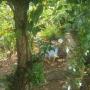 Hostelek - Las Lajas, Hospedaje Ecologico Nahual