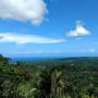 Лоджи - Очо-Риос, The Lion House Jamaica