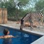 Ferienhäuser - Marloth Park, Nextdoor Kruger Lodge
