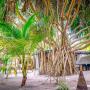 Affittacamere - Dhaalu Atoll, Sevidlam Rinbudhoo Inn