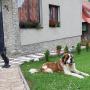 Homestays - Ždiar, Privat Sofia