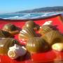 Residence - Pichilemu, Lotus Surf School