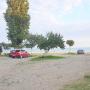 Guest houses - Gudauta, Primorskii Guest House