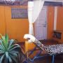 Guest houses - Anjuna, 1 BR Guest house in Anjuna - North Goa (FEB0), by GuestHouser