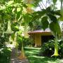 Lodge - Alajuela, Tacacori EcoLodge
