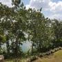 Hotels - Jinja, The Nile River Bend Resort