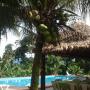 Отели - Вилья-Тунари, Hotel Puerto Selva