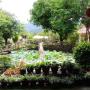 Vendégházak - Paksze, Xuanmai Garden Resort