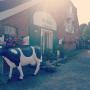 Hotely - Emden, Hotel & Restaurant Gulfhof